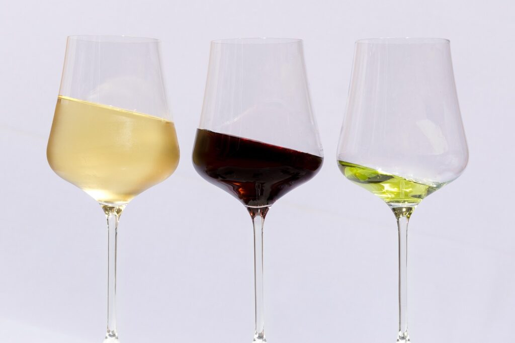 Comment sélectionner un vin bio : conseils pour un choix éclairé et savoureux